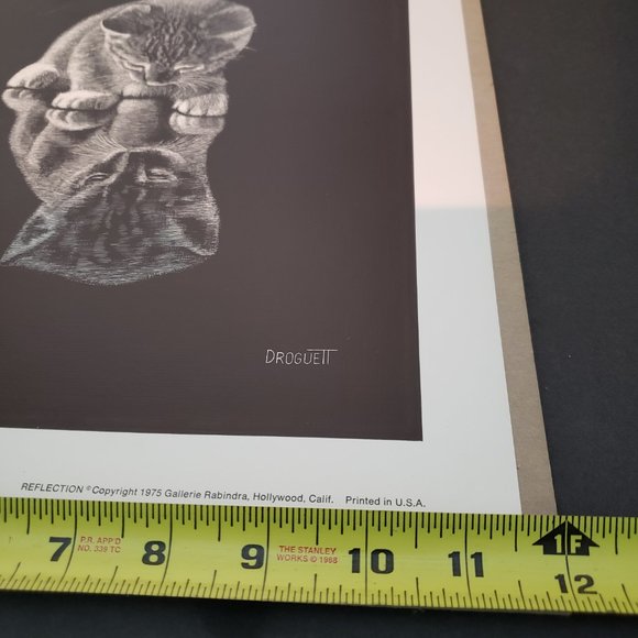 Vintage 70s Droguett Kitten Reflection Print Art Cute - Picture 8 of 12